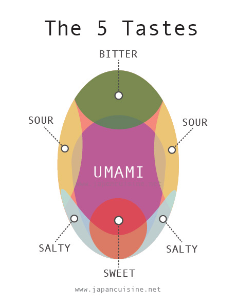 where on the tongue umami is perceived